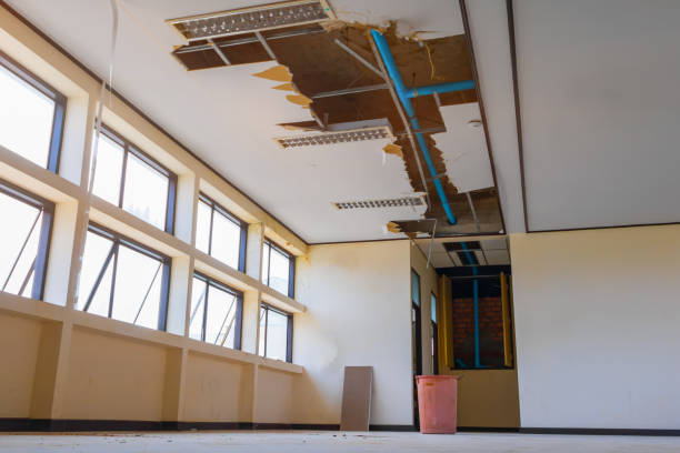 Best Residential water damage restoration  in Riverside, UT