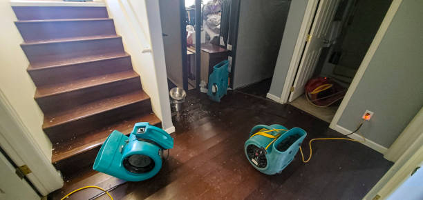 Best Commercial water damage restoration  in Riverside, UT
