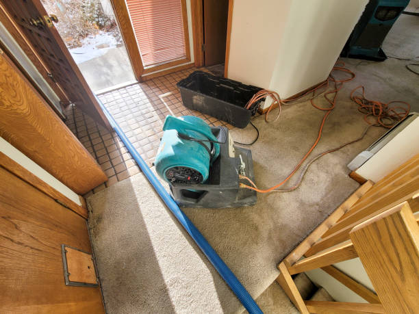 Best Emergency water damage restoration  in Riverside, UT