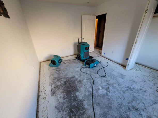 Best Water damage restoration near me  in Riverside, UT