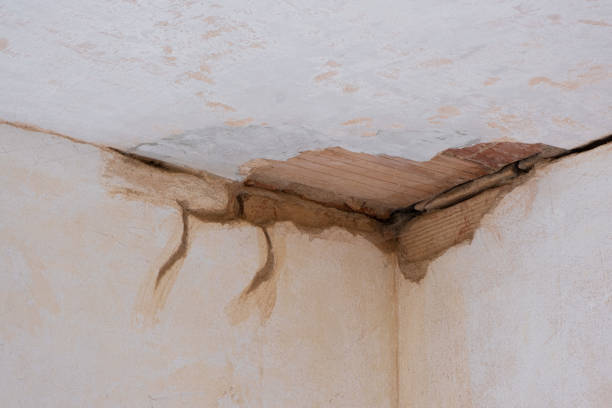 Best Residential water damage restoration  in Riverside, UT