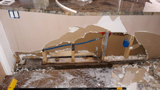 Best Mold removal after water damage  in Riverside, UT