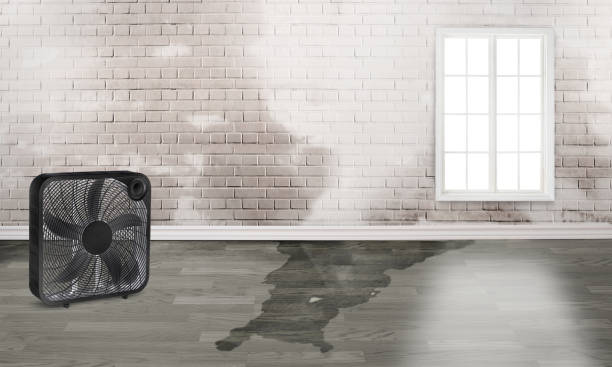Local water damage restoration in UT