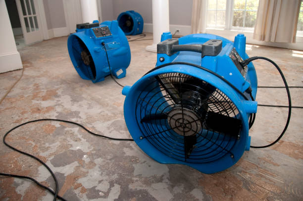Reliable UT Water damage restoration Solutions