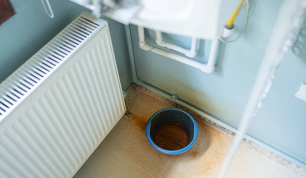 Best Ceiling water damage repair  in Riverside, UT